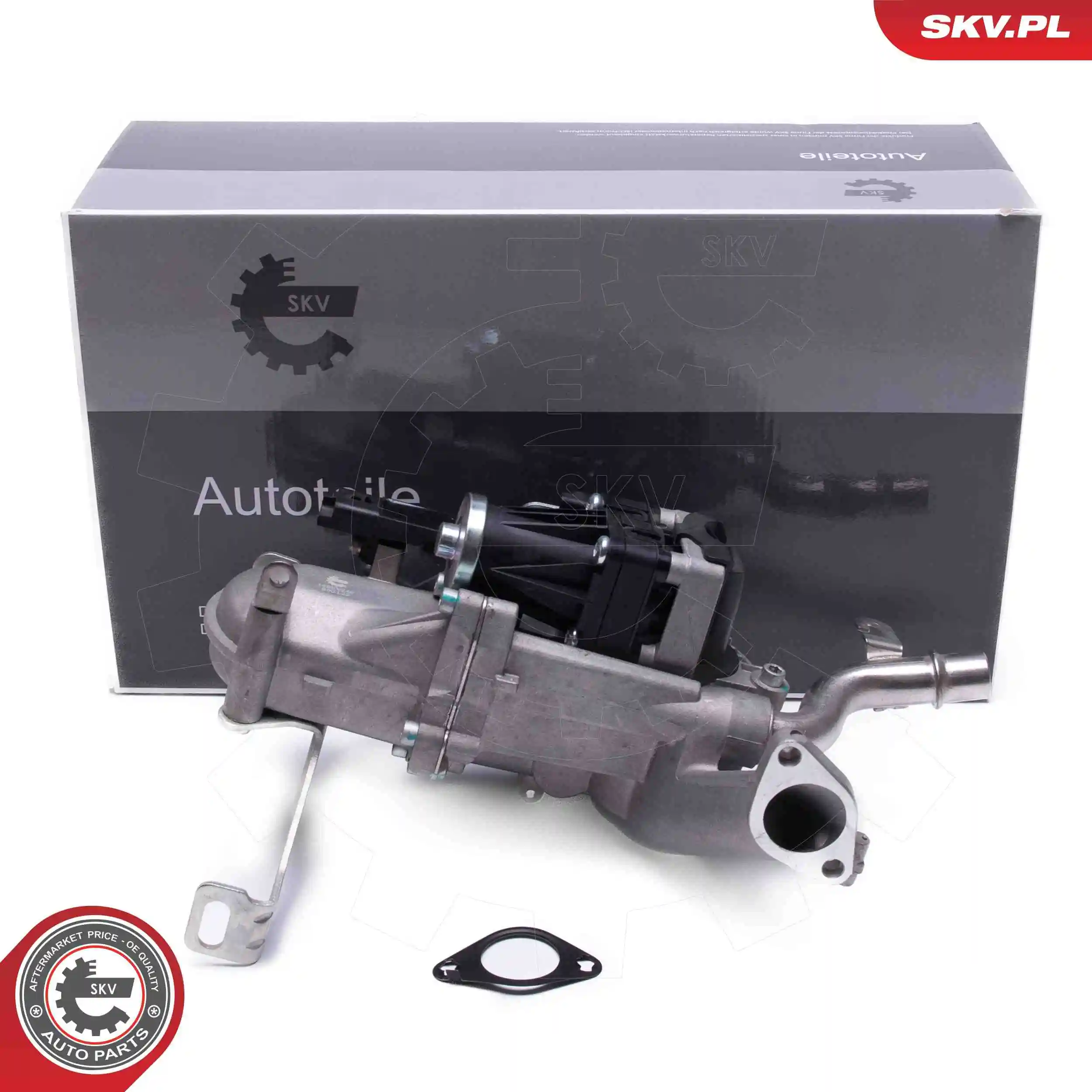 EGR Valve